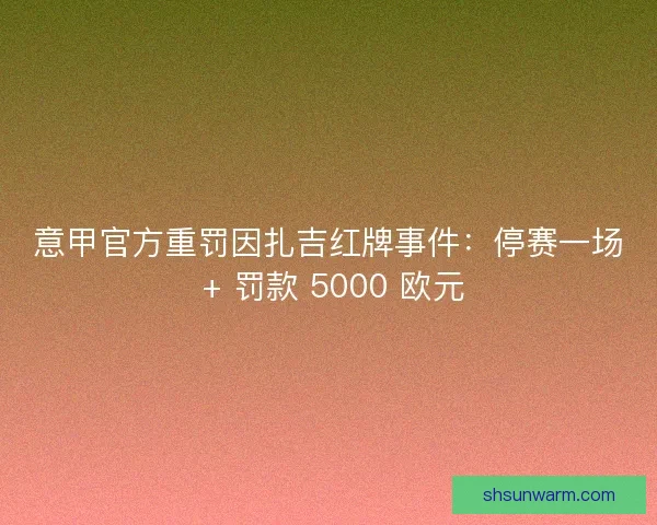 意甲官方重罚因扎吉红牌事件:停赛一场 + 罚款 5000 欧元 意甲官方重罚因扎吉红牌事件:停赛一场 + 罚款 5000 欧元