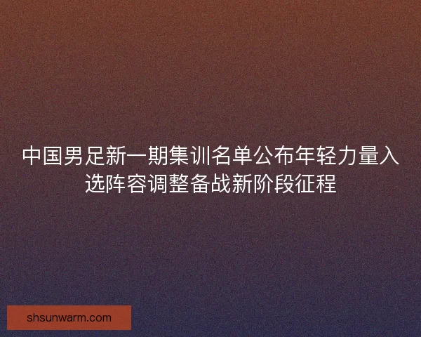中国男足新一期集训名单公布年轻力量入选阵容调整备战新阶段征程