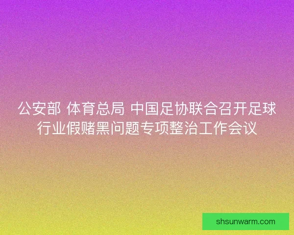 公安部 体育总局 中国足协联合召开足球行业假赌黑问题专项整治工作会议